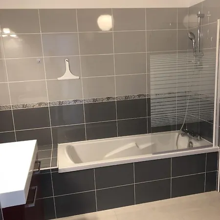 Appartement T2 46 M2 O'Lac Proche Du Lac 1 Chambre Parking Terrasse 艾克斯莱班